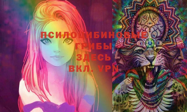 spice Армянск