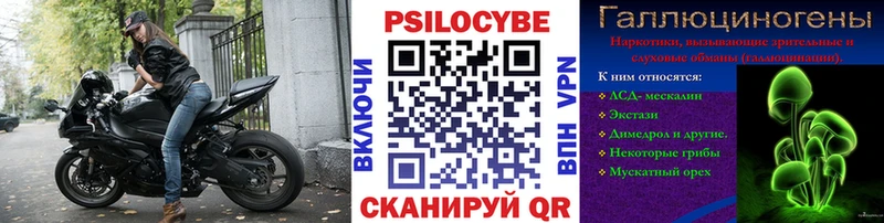 Псилоцибиновые грибы прущие грибы  Струнино 