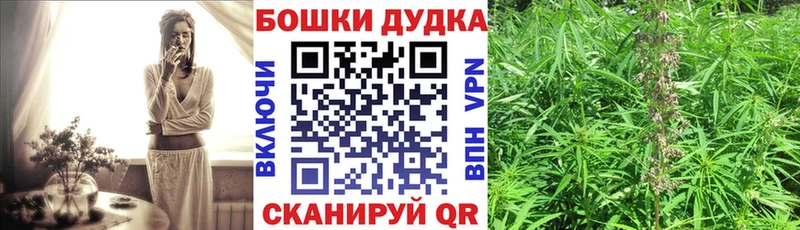 OMG как зайти  Струнино  Конопля планчик 
